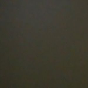 Meet your Posher, Sana